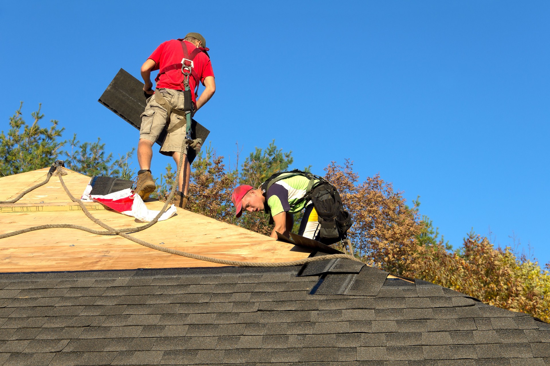 Comprehensive Roof Replacements